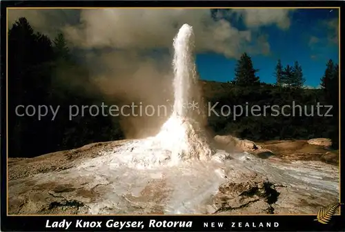 AK / Ansichtskarte Geysire Vulcans Geysers Vulkane Lady Knox Geyser Rotorua New Zealand  Kat. Natur