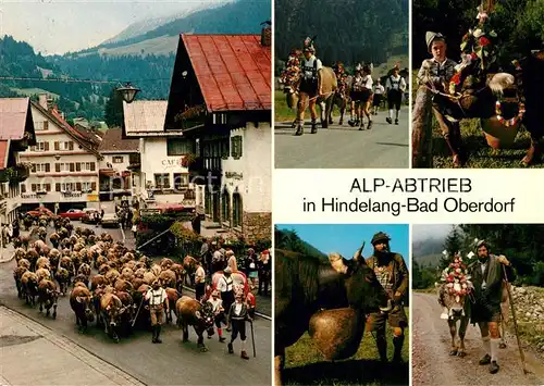 AK / Ansichtskarte Kuehe Alp Abtrieb Hindeland Bad Oberdorf  Kat. Tiere