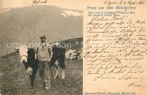 AK / Ansichtskarte Muenstertal Schwarzwald Bauer mit Kuh Kat. Muenstertal