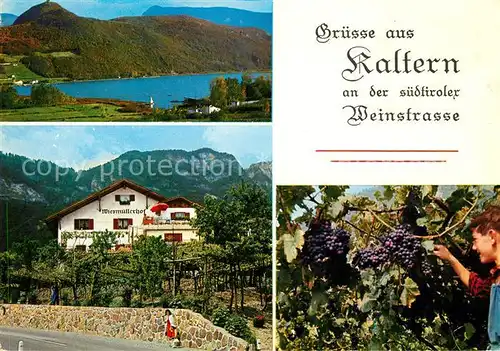 AK / Ansichtskarte Kaltern Weinstrasse Tirol Gaestehaus Wiesmuellerhof  Kat. 