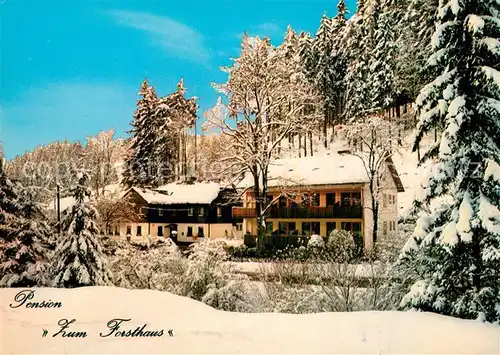 AK / Ansichtskarte Thiemitz Wald Pension Zum Forsthaus Winterlandschaft Kat. Schwarzenbach a.Wald
