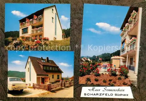 AK / Ansichtskarte Scharzfeld Haus Sonnenschein Kat. Herzberg am Harz