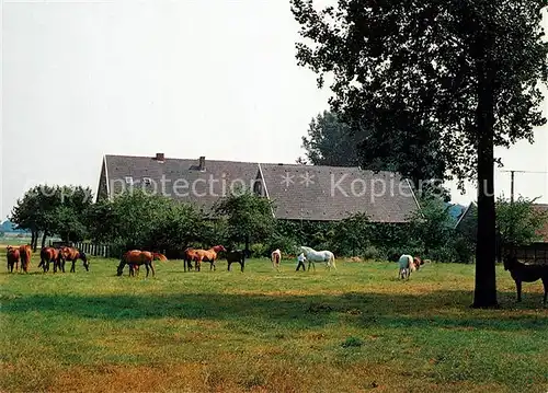 AK / Ansichtskarte Havixbeck Hof Mormann Pferde Kat. Havixbeck