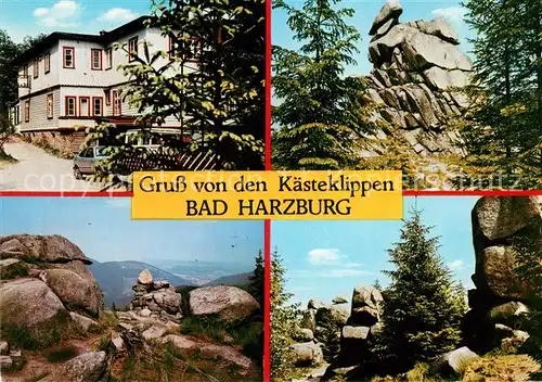 AK / Ansichtskarte Bad Harzburg Berghotel Kaestehaus Kaesteklippen Kat. Bad Harzburg