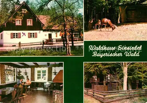 AK / Ansichtskarte Nittenau Waldhaus Einsiedel Kat. Nittenau