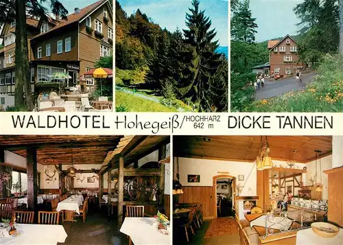 AK / Ansichtskarte Hohegeiss Harz Waldhotel Dicke Tannen Kat. Braunlage