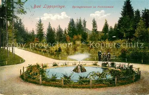 AK / Ansichtskarte Bad Lippspringe Springbrunnen im Fichtenwald Kat. Bad Lippspringe