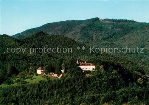 AK / Ansichtskarte Schliengen Fliegeraufnahme Schloss Buergeln Kat. Schliengen