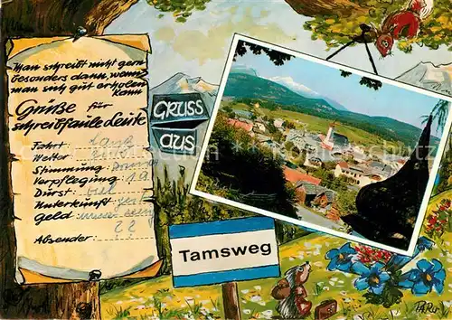 Tamsweg Lungau  Kat. Tamsweg