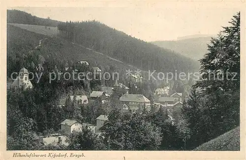 Kipsdorf Panorama Hoehenluftkurort Kat. Altenberg