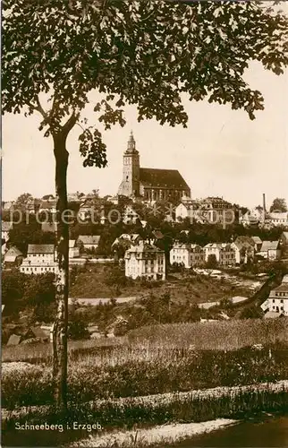 Schneeberg Erzgebirge Teilansicht mit Kirche Trinks Postkarte Kat. Schneeberg