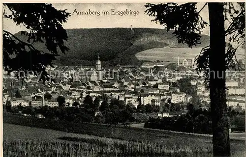 Annaberg Buchholz Erzgebirge Ansicht vom Waldrand aus Kat. Annaberg