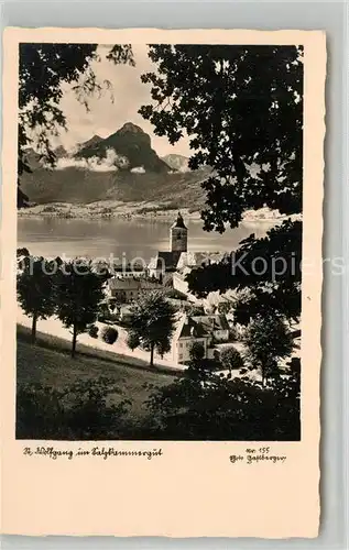 AK / Ansichtskarte St Wolfgang Wolfgangsee Panorama Kat. St. Wolfgang im Salzkammergut