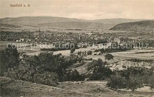 AK / Ansichtskarte Saalfeld Saale Panorama Kat. Saalfeld