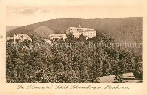 AK / Ansichtskarte Schwarzatal Schloss Schwarzburg mit Hirschwiese Kat. Rudolstadt
