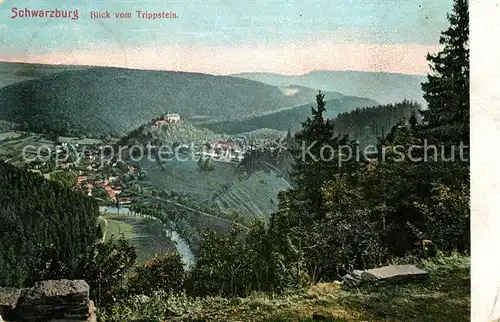 AK / Ansichtskarte Schwarzburg Thueringer Wald Blick vom Trippstein Kat. Schwarzburg