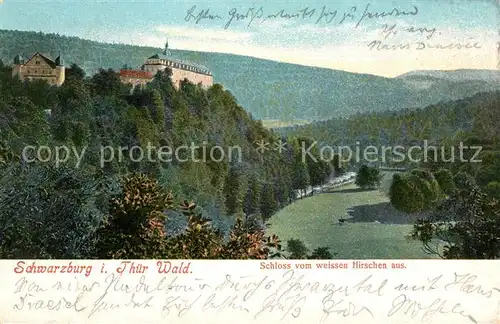 AK / Ansichtskarte Schwarzburg Thueringer Wald Schloss vom Weissen Hirsch gesehen Kat. Schwarzburg