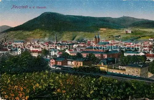 AK / Ansichtskarte Neustadt Haardt Panorama Kat. Neustadt an der Weinstr.