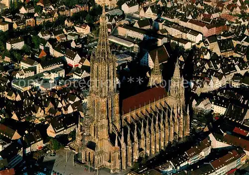 Ulm Donau Muenster Kat. Ulm