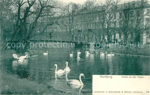 Hamburg Partie an der Alster Schwaene Kat. Hamburg