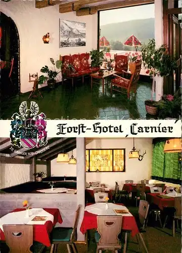 AK / Ansichtskarte Bad Koenig Odenwald Forst Hotel Carnier Kat. Bad Koenig