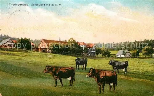 Schmuecke Panorama Weide Kat. Gehlberg