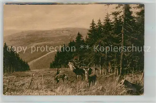 Schmuecke Blick vom Finsterberg mit Schneekopf Kat. Gehlberg