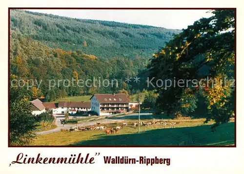 AK / Ansichtskarte Rippberg Ponyhof Gasthof Pension Linkenmuehle Kat. Wallduern