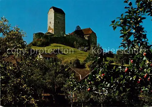 AK / Ansichtskarte Sargans Schloss Kat. Sargans