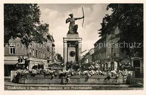 AK / Ansichtskarte Grossenhain Sachsen Diana Brunnen Frauenmarkt Kat. Grossenhain