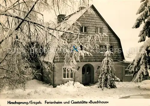 AK / Ansichtskarte Hirschsprung Ferienheim Restaurant Buschhaus Kat. Altenberg