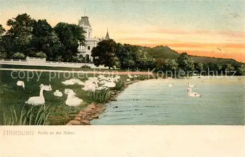 Hamburg Partie an der Alster Schwaene Kat. Hamburg