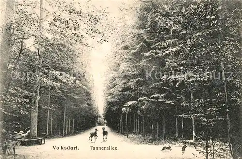 AK / Ansichtskarte Volksdorf Alt Rahlstedt Tannenallee Wald Natur Rehe