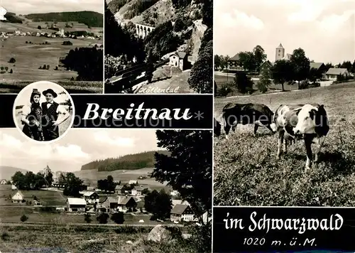 AK / Ansichtskarte Breitnau Hoellental Trachtenpaar Kuhweide Panoramen Kat. Breitnau