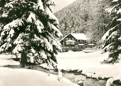 AK / Ansichtskarte Tabarz HOG Massemuehle Lauchagrund Winter Kat. Tabarz Thueringer Wald