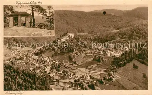 AK / Ansichtskarte Schwarzburg Thueringer Wald Panorama mit Trippsteinhaeuschen Kat. Schwarzburg