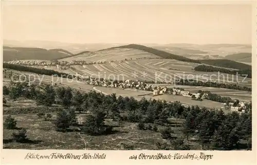 AK / Ansichtskarte Oberweissbach Blick vom Froebelturm Kat. Oberweissbach