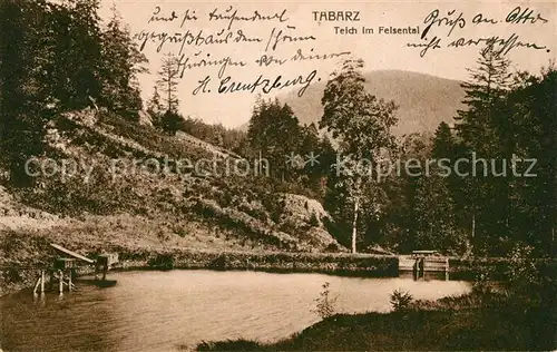 AK / Ansichtskarte Tabarz Teich im Felsental Kat. Tabarz Thueringer Wald