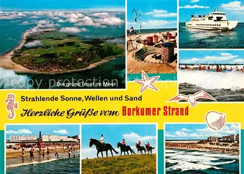 AK / Ansichtskarte Borkum Nordseebad Fliegeraufnahme Faehre Pferd Kat. Borkum