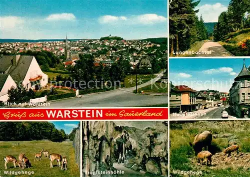 AK / Ansichtskarte Warstein Hauptstrasse Wildgehege Tropfsteinhoehe Kat. Warstein