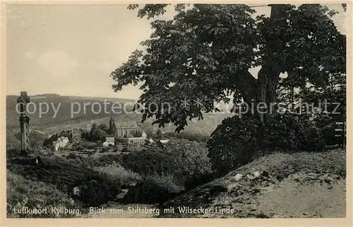 AK / Ansichtskarte Kyllburg Rheinland Pfalz Stiftsberg Wilsecker Linde Kat. Kyllburg