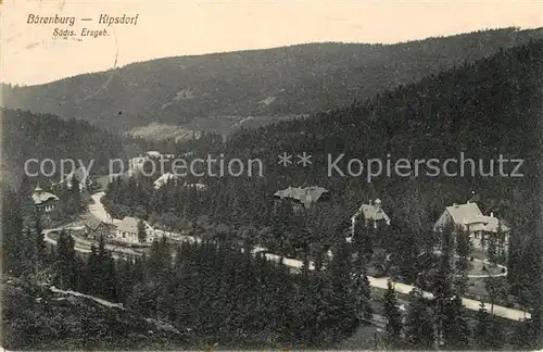 AK / Ansichtskarte Baerenburg Sachsen mit Kipsdorf Kat. Altenberg