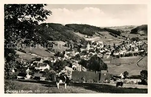 AK / Ansichtskarte Geising Erzgebirge Panorama Kat. Geising Osterzgebirge