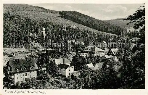 AK / Ansichtskarte Kipsdorf Panorama Kat. Altenberg