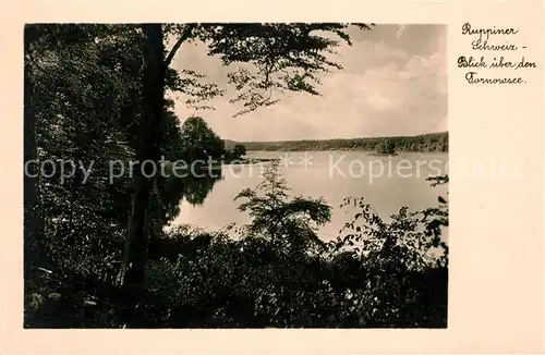 AK / Ansichtskarte Neuruppin Panorama Blick ueber den Tornowsee Naturschutzgebiet Ruppiner Schweiz Kat. Neuruppin