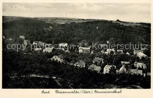 AK / Ansichtskarte Bad Freienwalde Landschaftspanorama Brunnental Mezzobrom Nr 1555 Kat. Bad Freienwalde