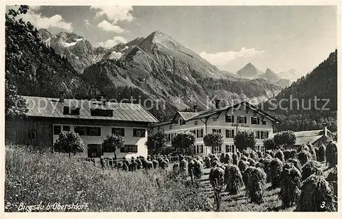 AK / Ansichtskarte Birgsau Hotel Pension Landwirtschaft Allgaeuer Alpen Kat. Oberstdorf