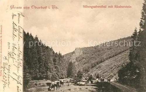 AK / Ansichtskarte Oberhof Thueringen Silbergrabental mit Raeuberstein Kuehe Landschaftspanorama Kat. Oberhof Thueringen