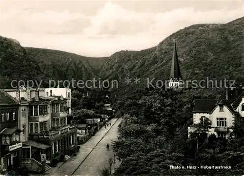 AK / Ansichtskarte Thale Harz Hubertusstrasse Kat. Thale