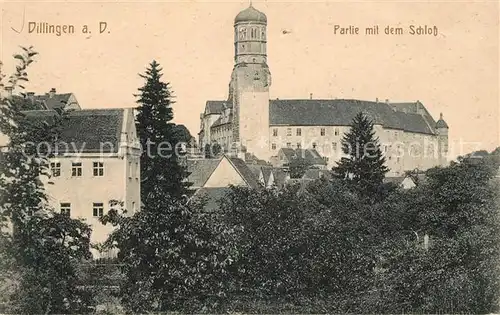 AK / Ansichtskarte Dillingen Donau Partie mit Schloss Kat. Dillingen a.d.Donau